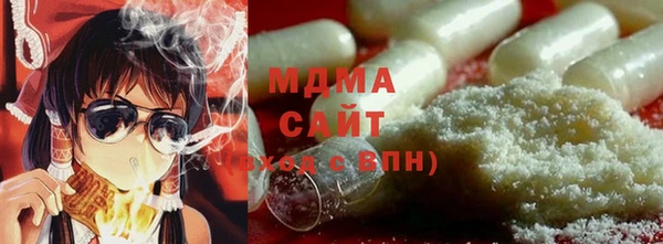 амф Гусев