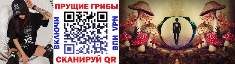 Купить  Мантурово  Галлюциногенные грибы мицелий 