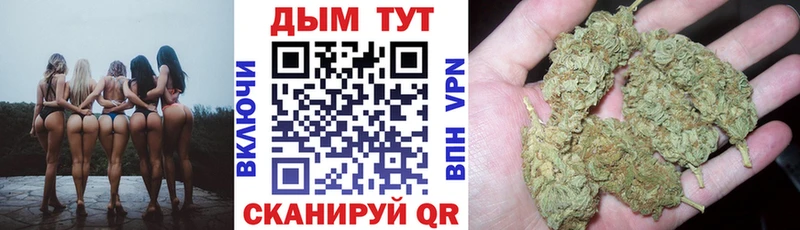 Канабис сатива  Купить  Мантурово 